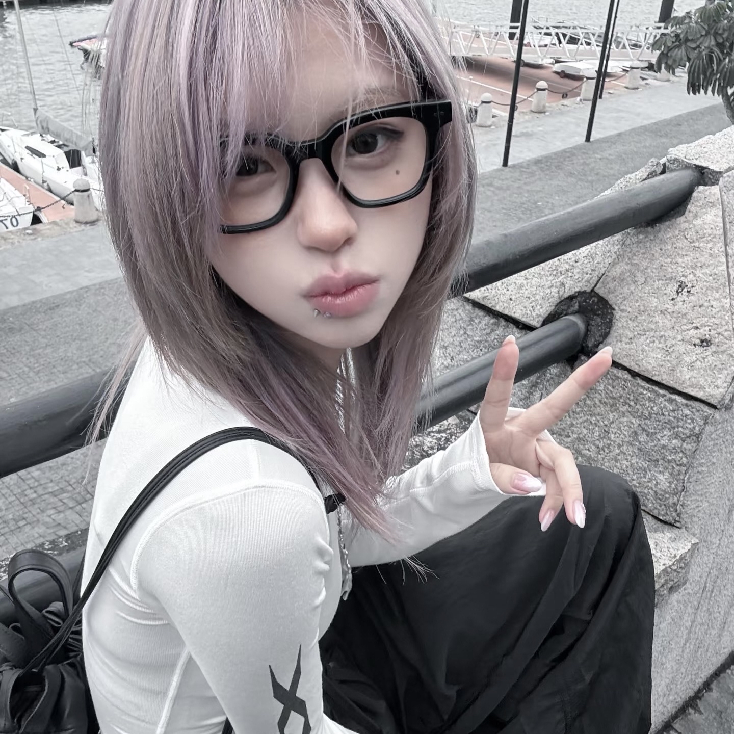 King Charles Cavalier